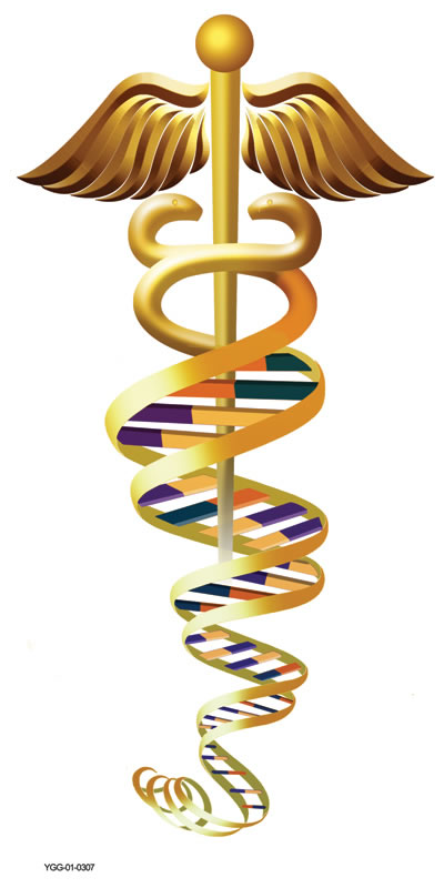 Human Genome Program, U.S. Department of Energy, Genomics and Its Impact on Science and Society: A 2008 Primer, 2008. (Original version 1992, revised 2001 and 2008.) (website)