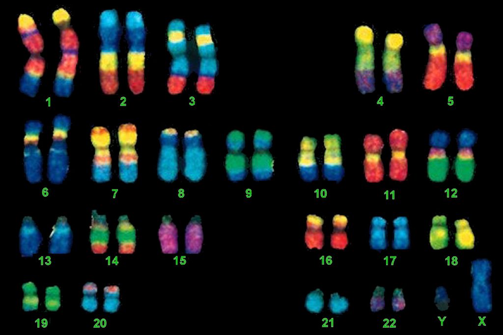 DNA Cancer